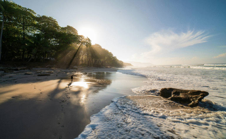 Sand beach with waves and trees under a setting sun in Costa Rica.