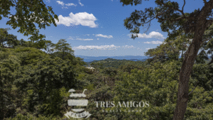 Scenic hillside view with trees in Guanacaste, Costa Rica.