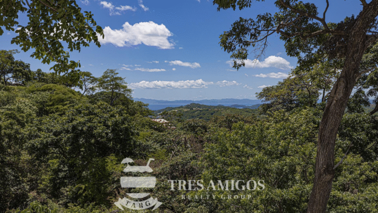 Scenic hillside view with trees in Guanacaste, Costa Rica.