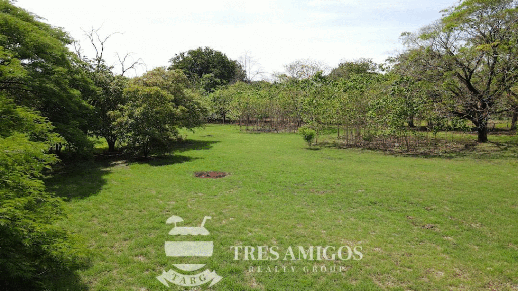 Open green field with scattered trees in Sardinal, Costa Rica.